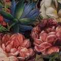 zas_peonia_bord_140x270t_szel[Z1].jpg