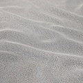 sable_b_330_3346_v100[Z2].jpg