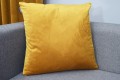 DSC_0370.JPG